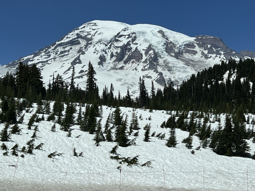 Mount rainier