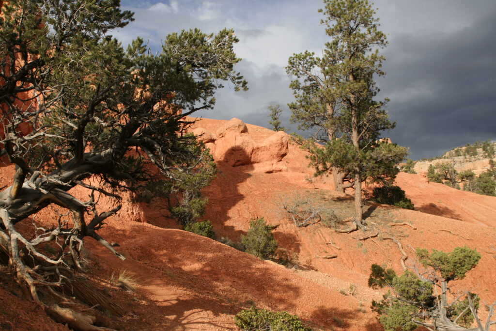 Red canyon