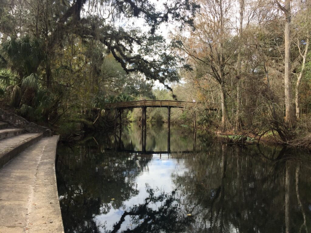 bridge at Hillsborough river state park