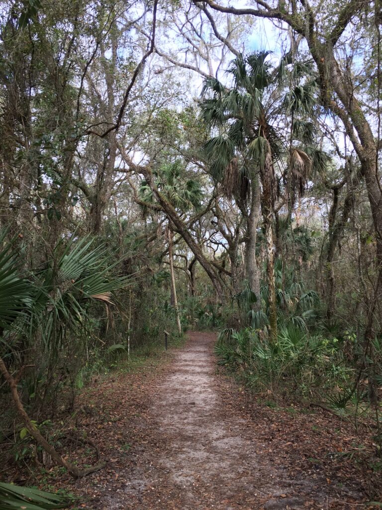 SamH Travels at Hillsborough river state park