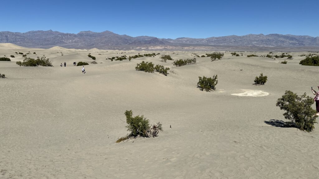 Death Valley Dunes