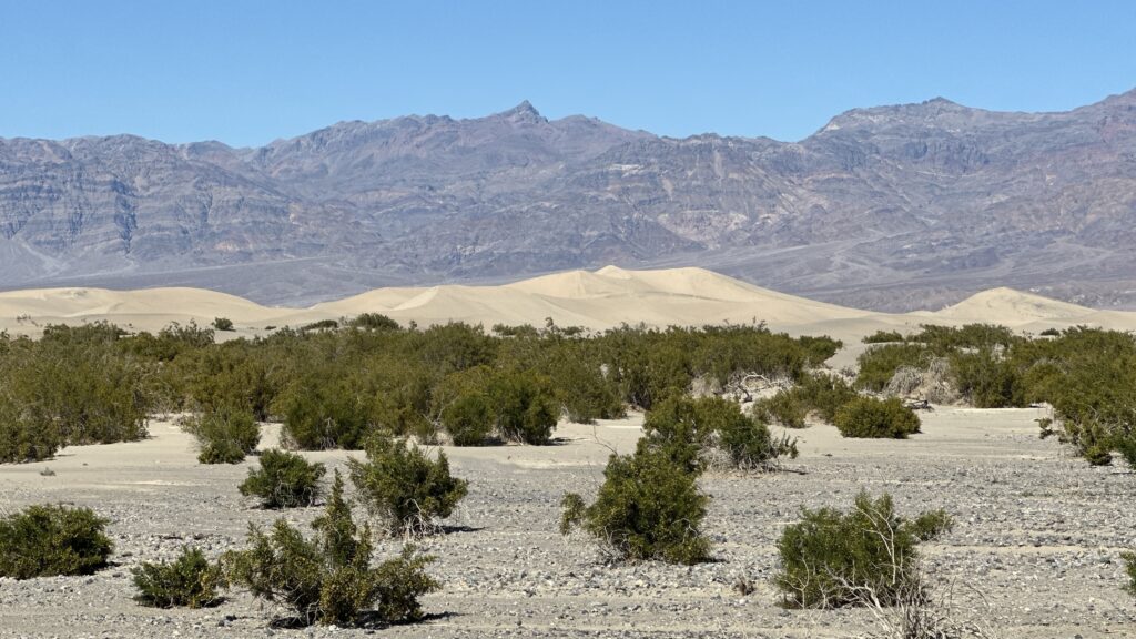 Mesquite Flat Sand Dunes