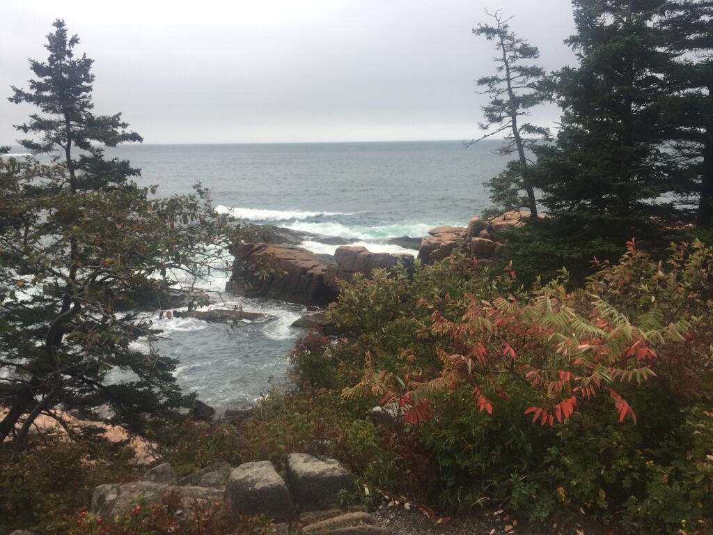 a rocky shore with trees and water