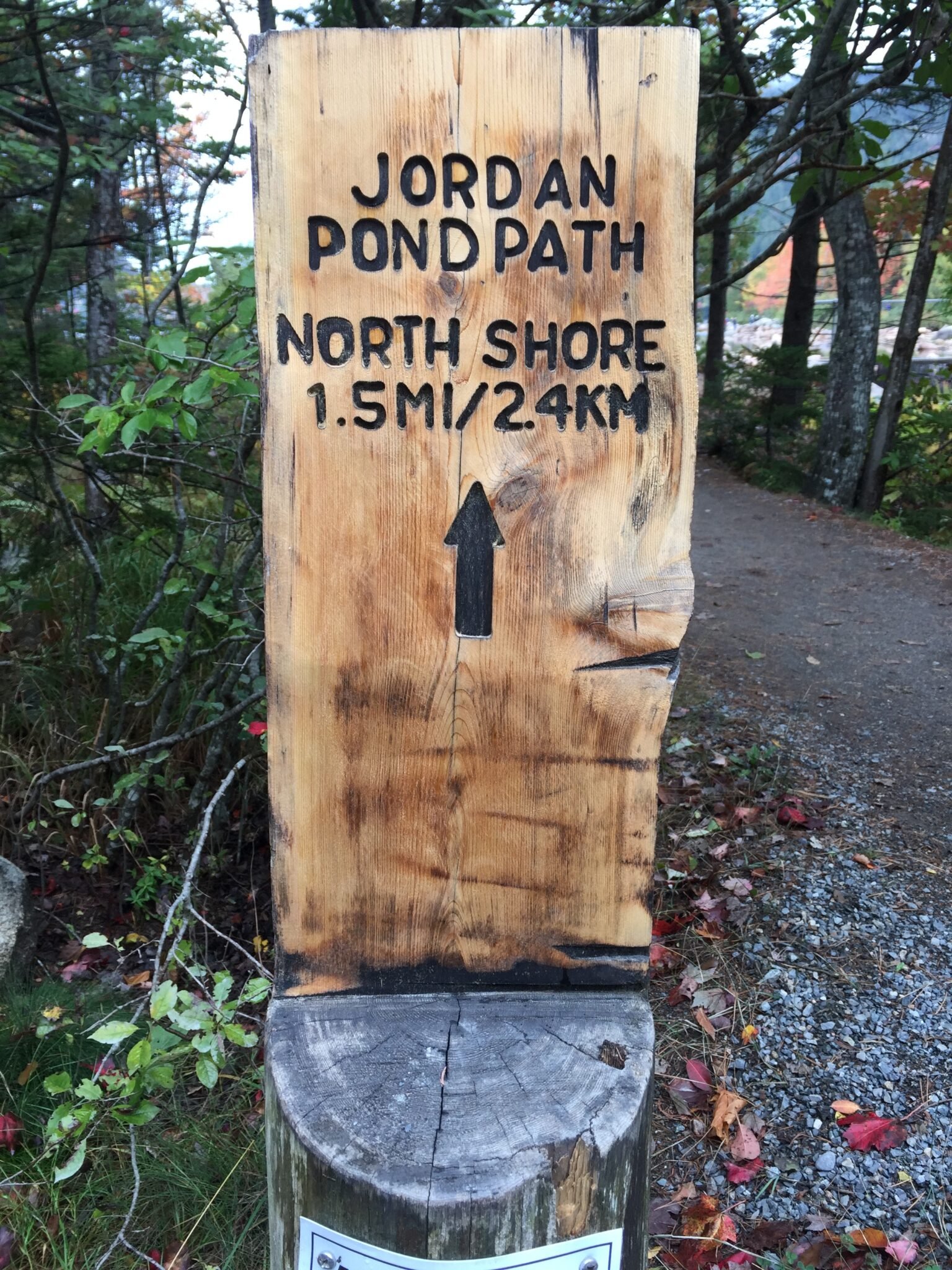 SamH Travels | Magic Of Acadia National Park: Maine’s Coastal Gem