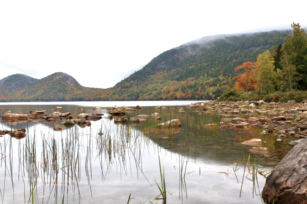 a lake with rocks and grass