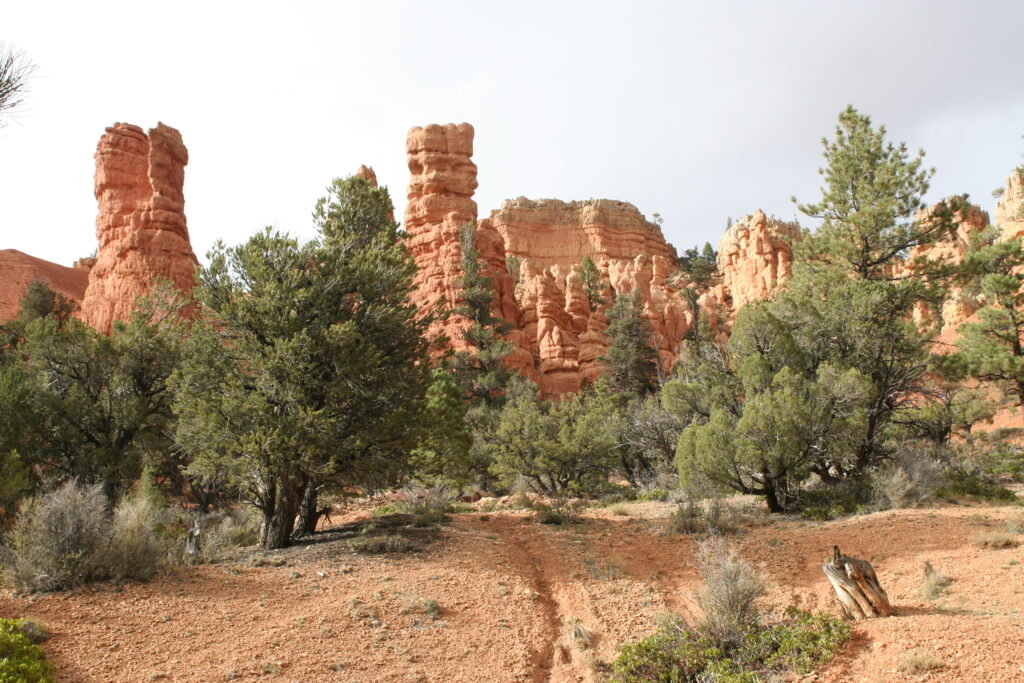 Red Canyon