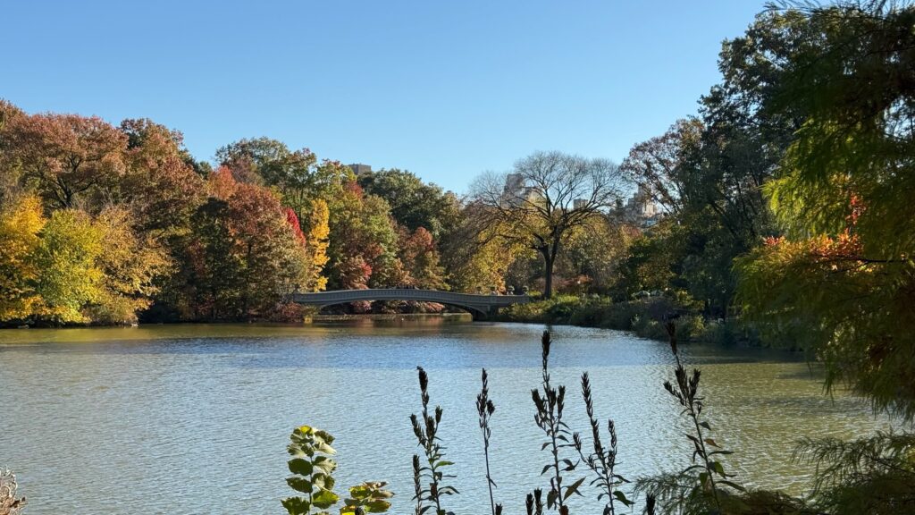 Central Park Lake