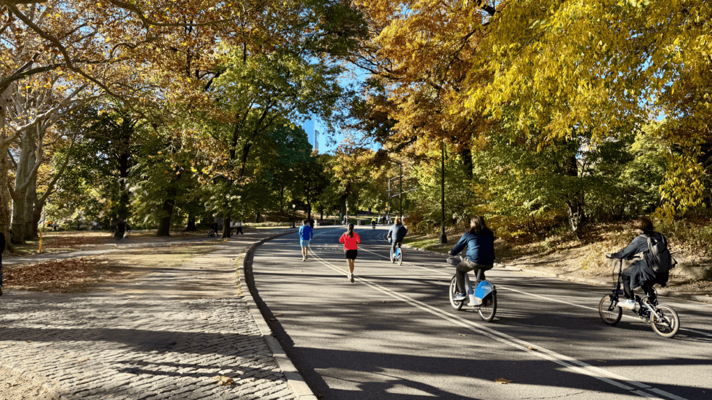 Cycling in Central Park