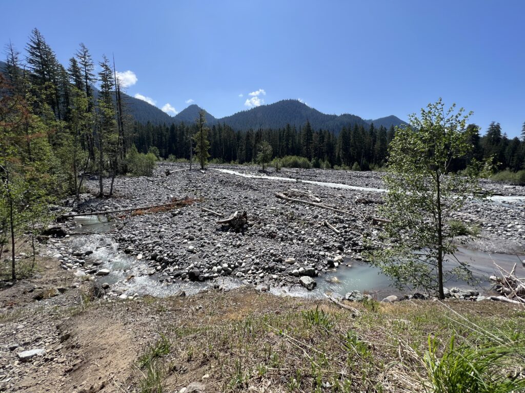 Mount Rainier National Park Landscape