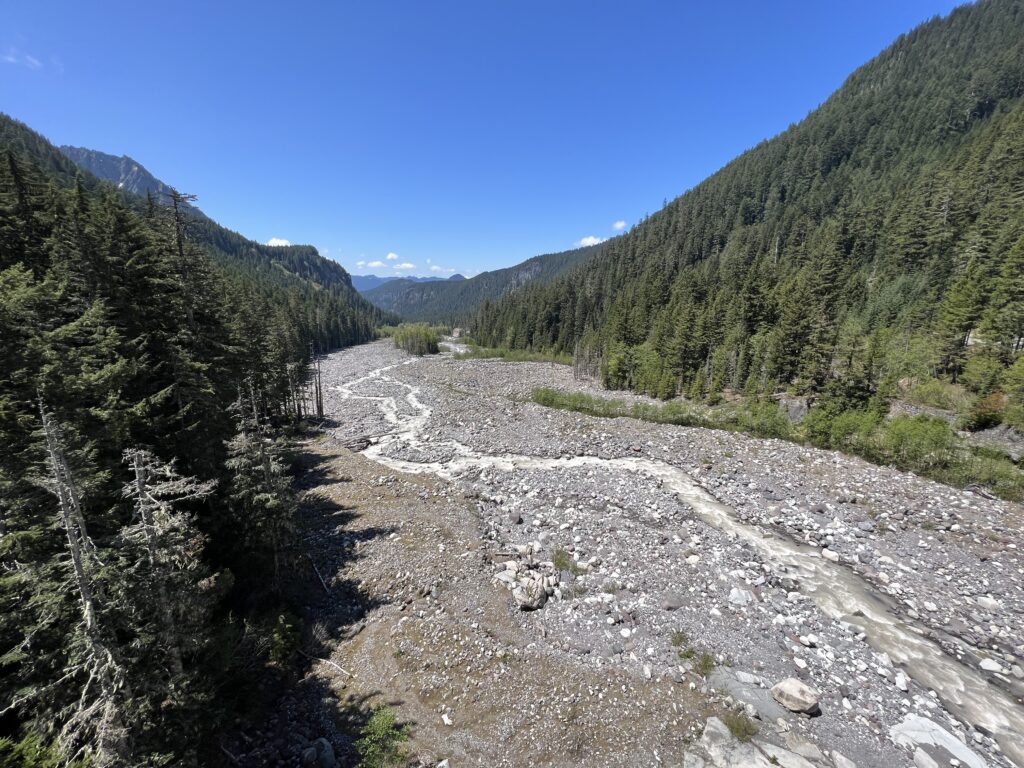 Landscape of Mount Rainier National Park