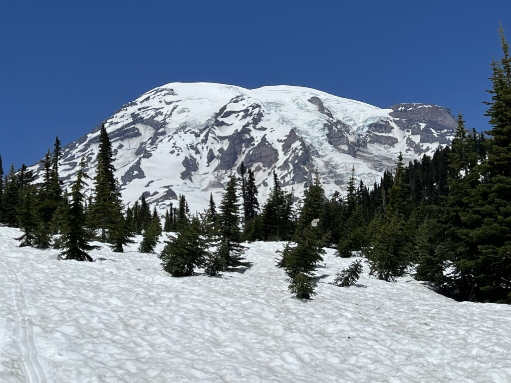 Amazing Mount Rainier