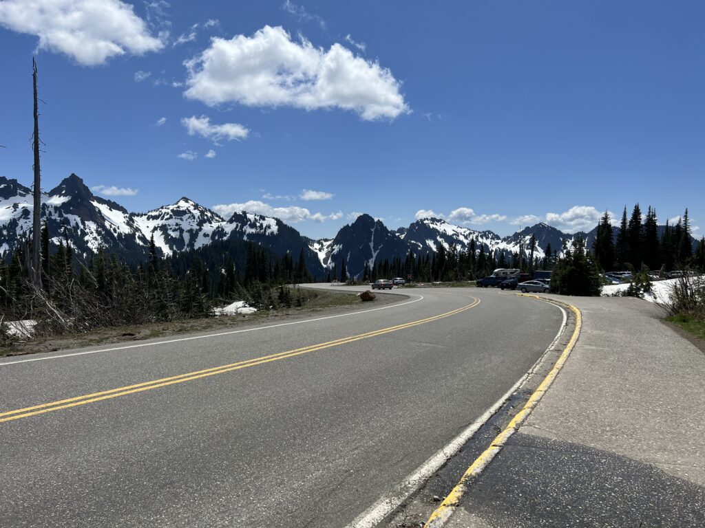 Road through Mount Rainier National Park