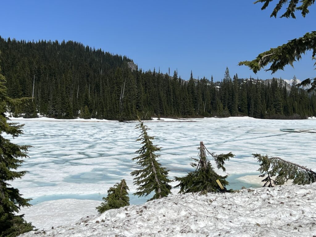 Reflection Lake